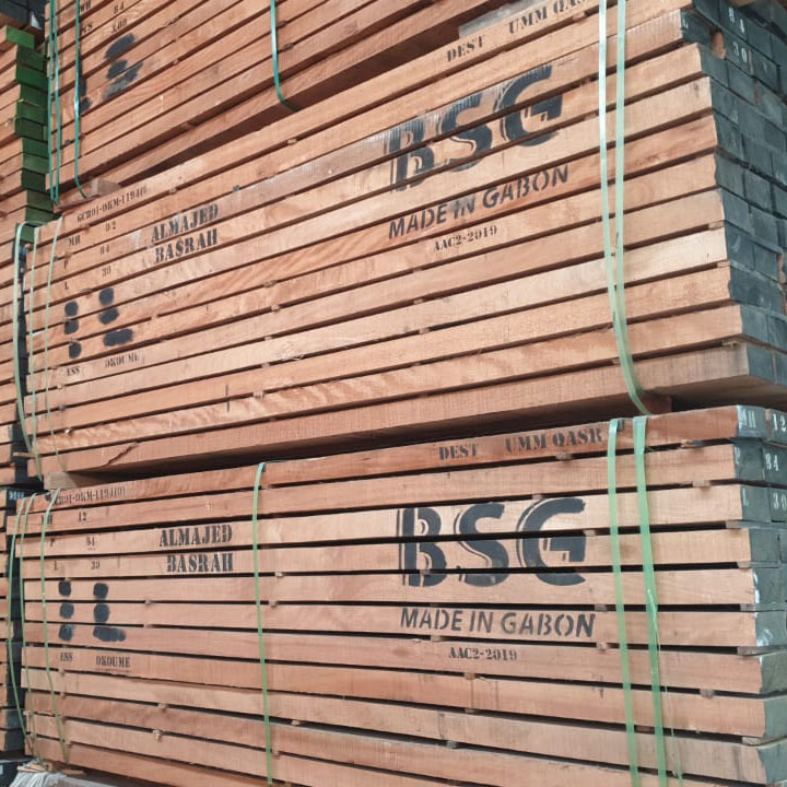 WhatsApp Image 2024-02-10 at 20.40.27_db0e9765