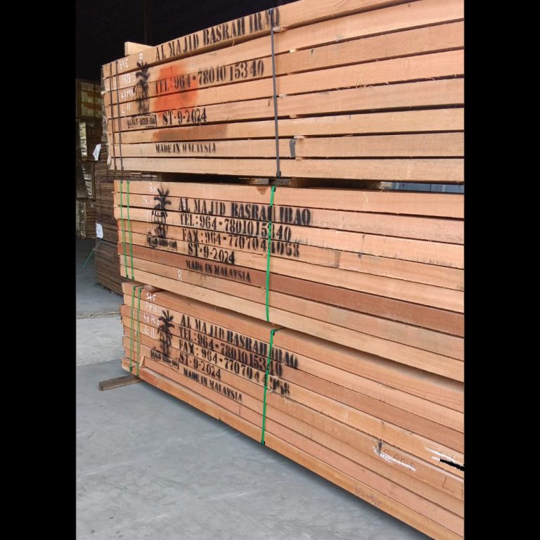 WhatsApp Image 2024-02-29 at 13.34.14_06a6aa30